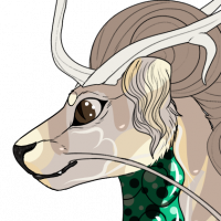 Thumbnail for I-1456: Macadamia